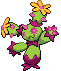Maractus